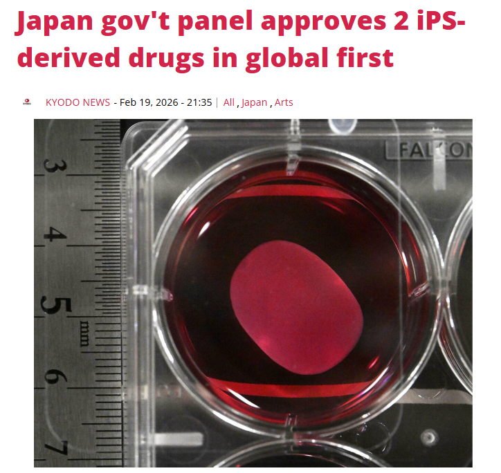 LifeRenewLab's tweet image. What if you could save a younger version of your #cells?
iPS cells can be stored and used to support tissue repair.  Already explored in Parkinson’s and heart conditions.

Not a guarantee, but a future option.

Worth considering?  A personal evaluation can help you decide.📩