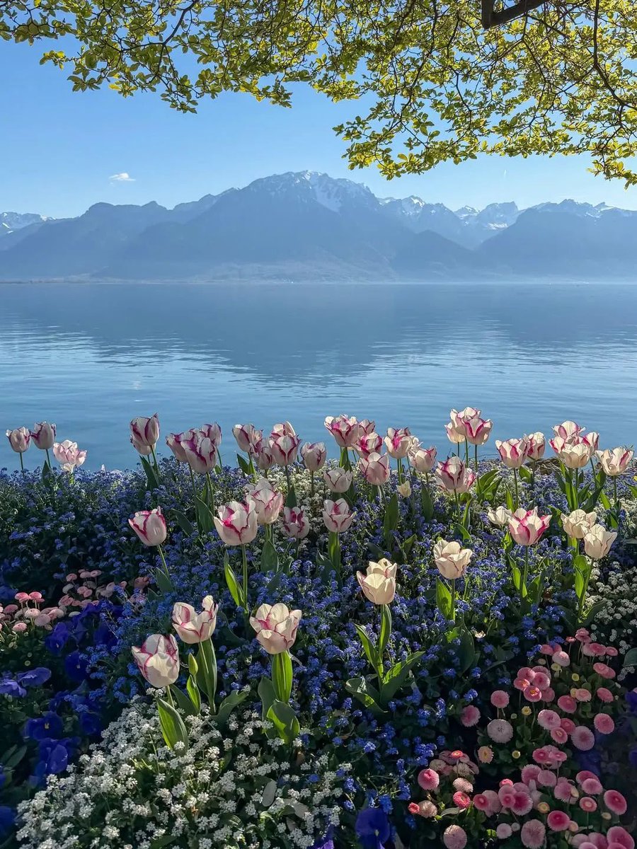 Mariam • tweet media