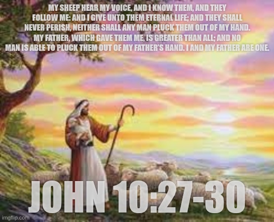 BelieveOnJesus's tweet photo. Become one of Jesus' found sheep by putting your trust in him for salvation today. Once you do, you are going to heaven no matter what happens for the rest of your life. Imagine the peace you will have knowing that.

Salvation Guide On Profile. https://t.co/H1tIc5EcXV