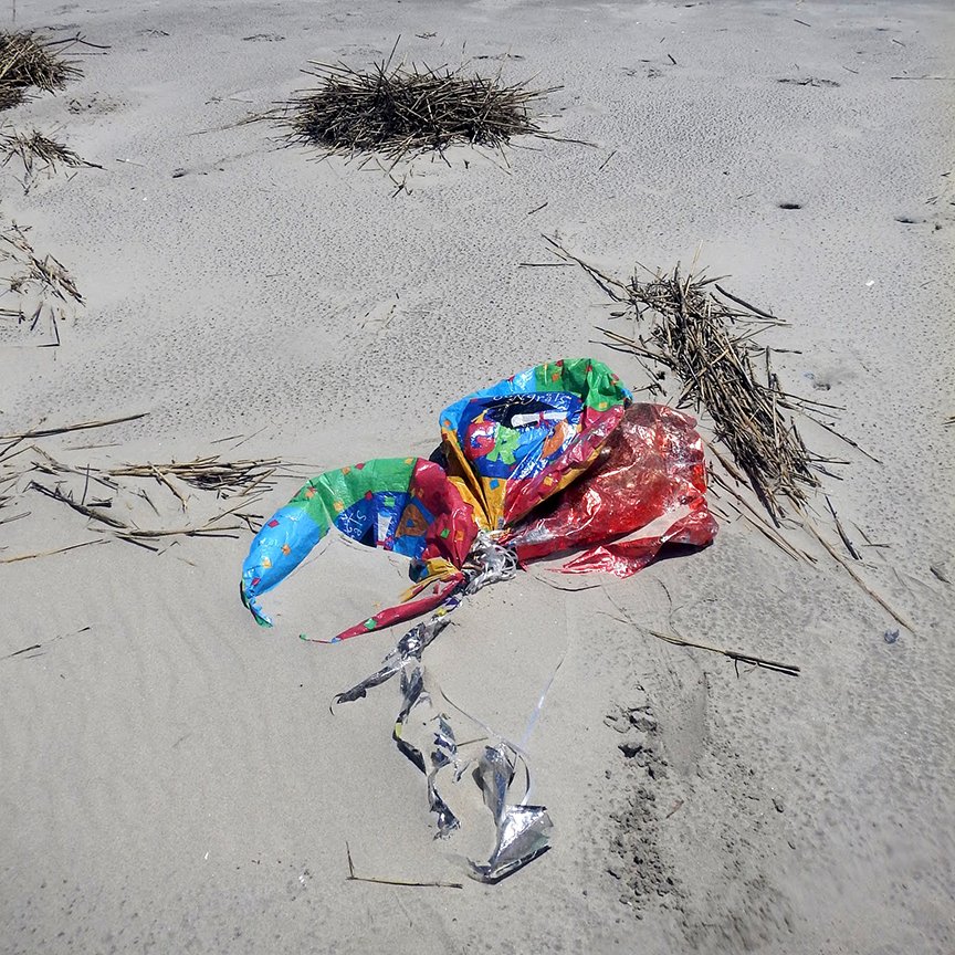 Give A Shit About Nature tweet media