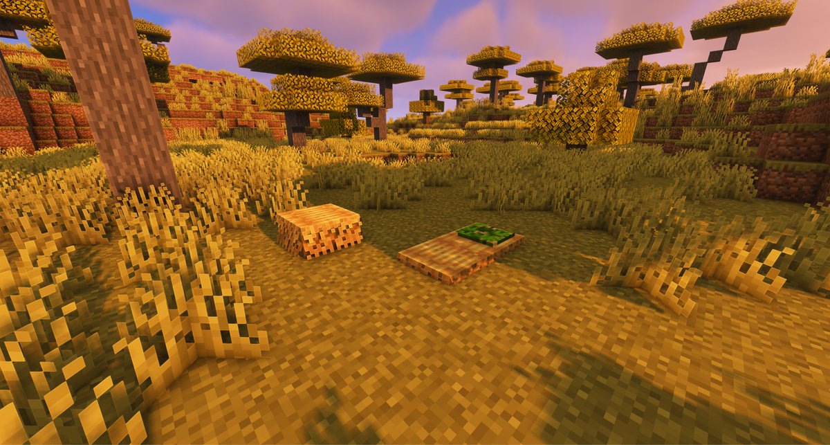 Astralya Studios tweet media