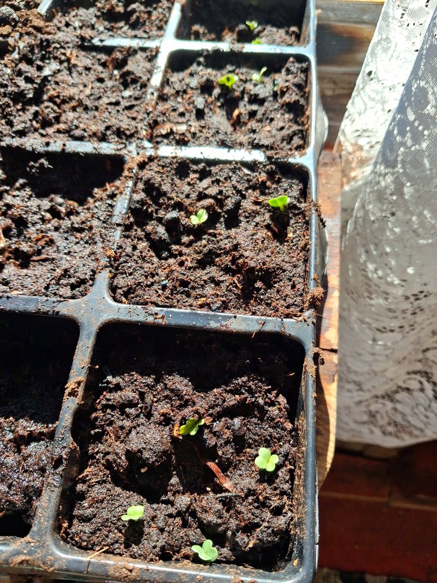 Mon B&B Haverö tweet media