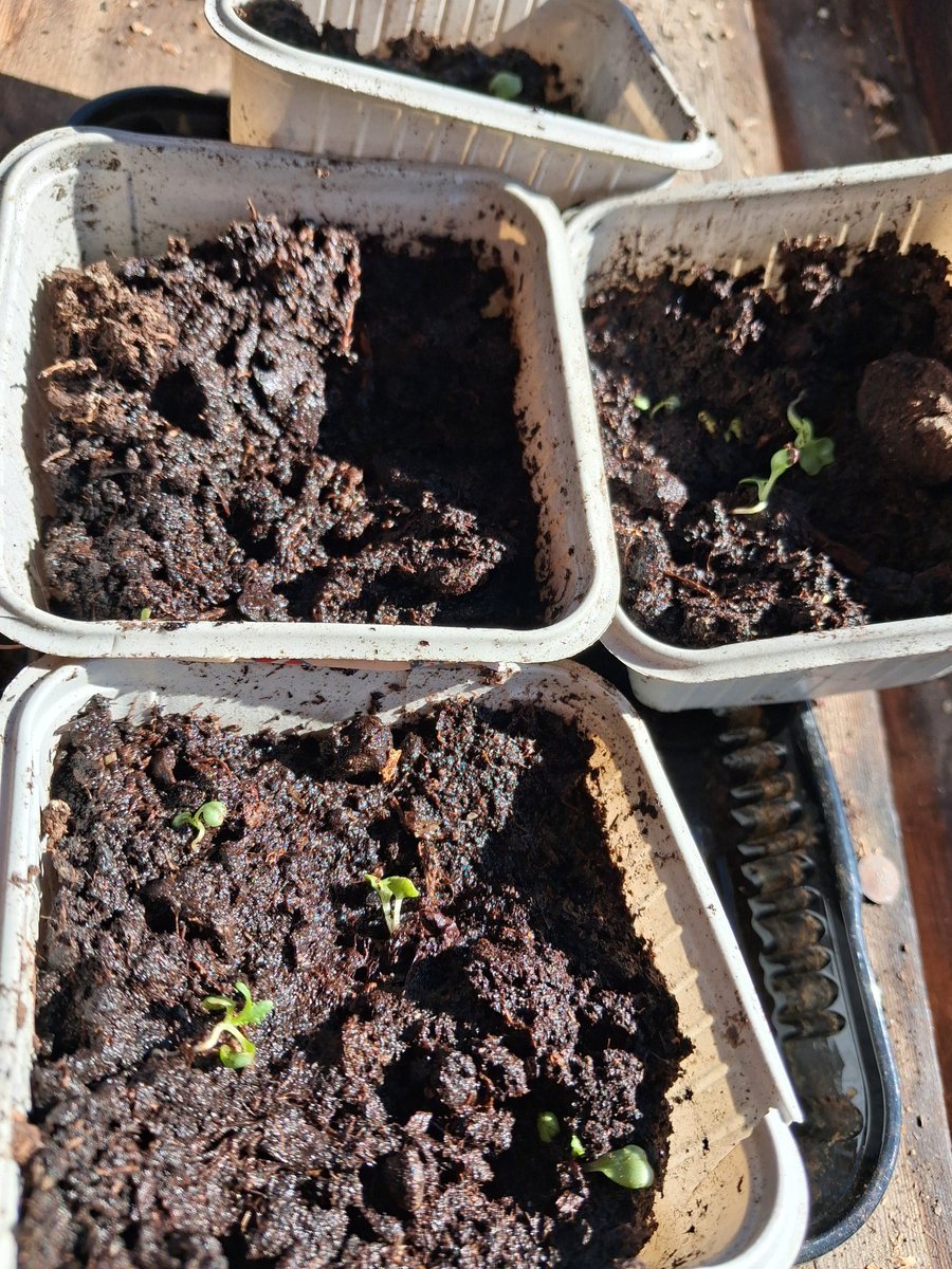 Mon B&B Haverö tweet media