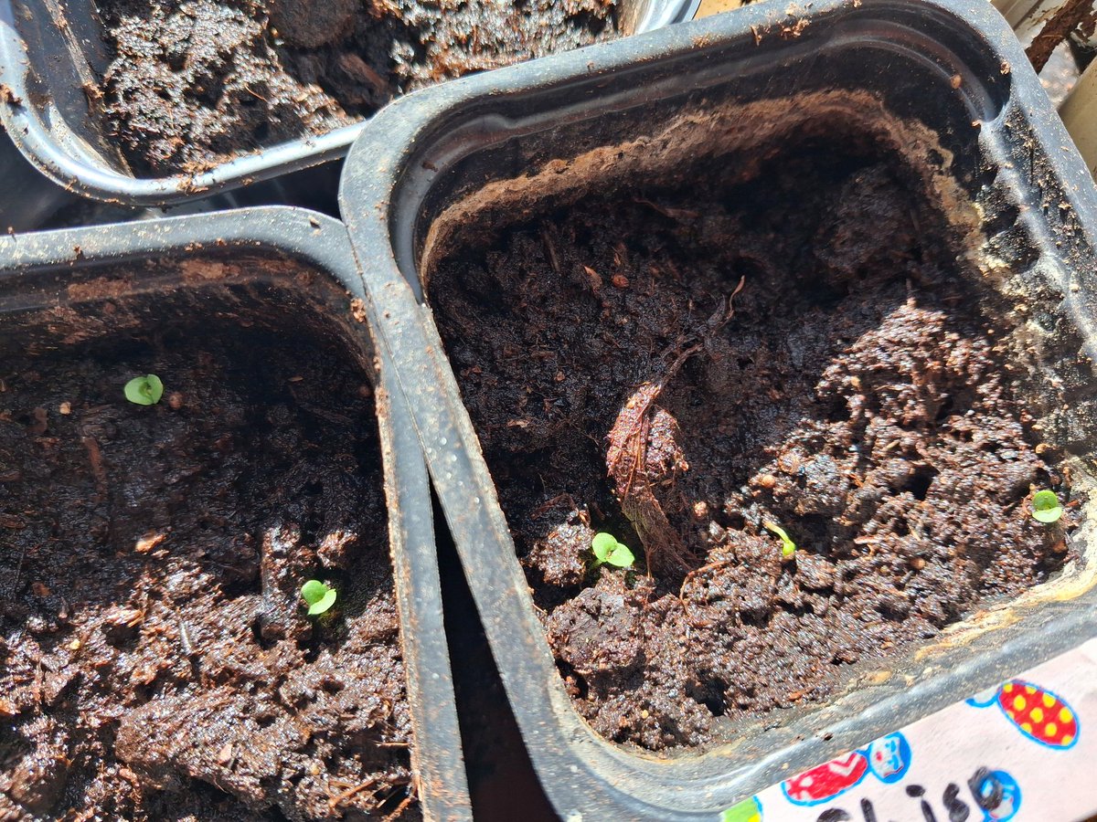 Mon B&B Haverö tweet media