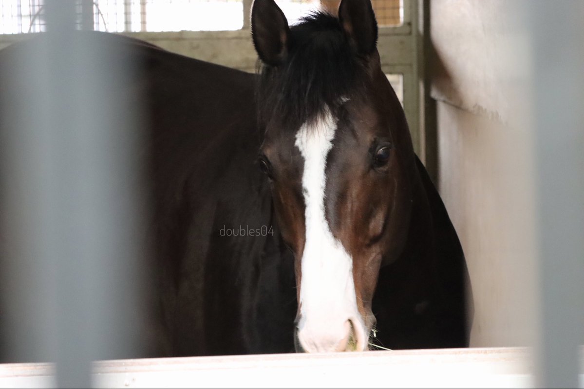 さや@04 tweet media