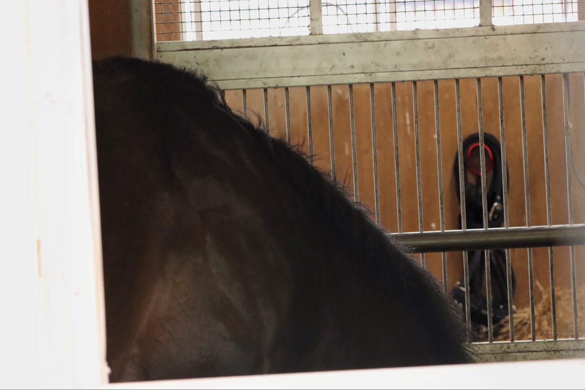 さや@04 tweet media