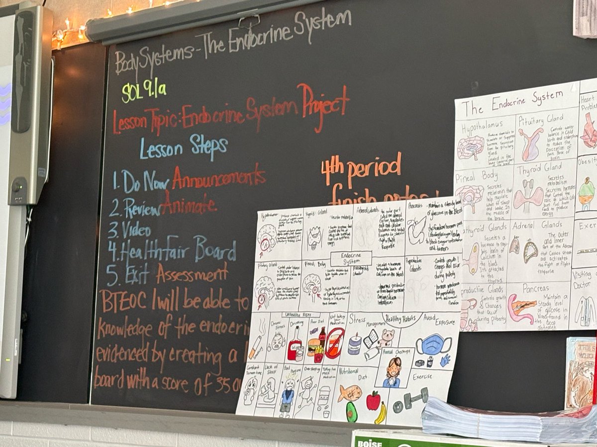 NNPSHPE's tweet photo. Students at @NNPSWoodside complete their projects on the #endocrinesystem while in #healtheducation

#highschoolHealthEd #HealthEd #bodysystems https://t.co/w1osclUjjR
