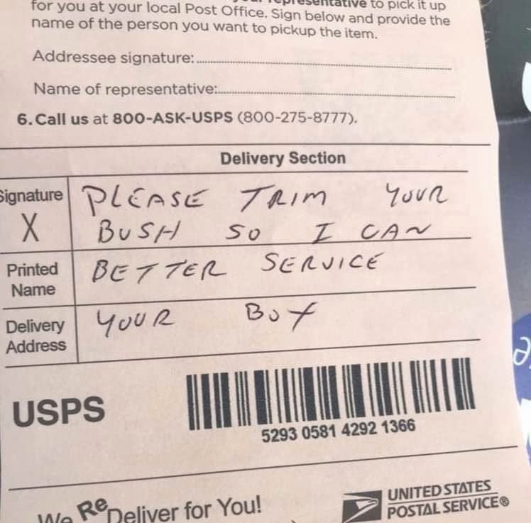 𝔏𝔞𝔲𝔯𝔞 𝔐𝔞𝔯𝔰🥀 tweet media