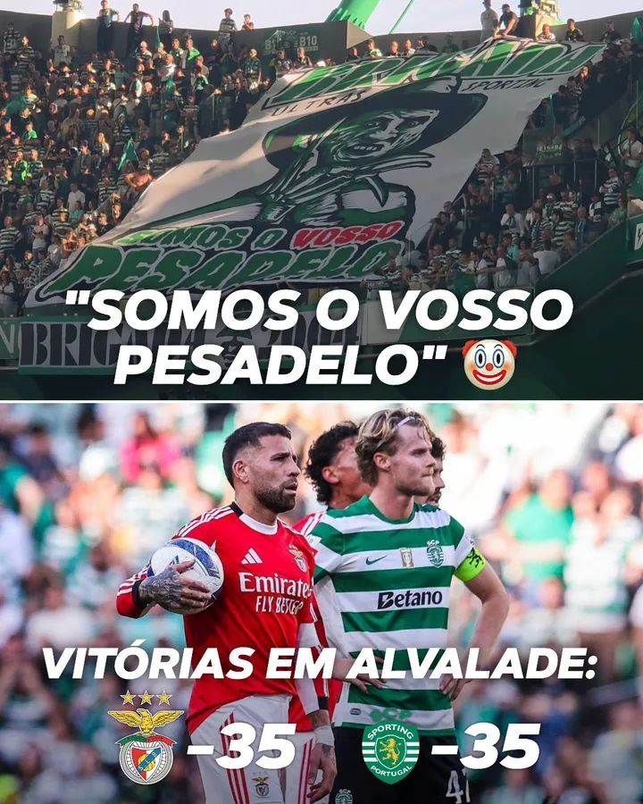 Tiago Raposo tweet media