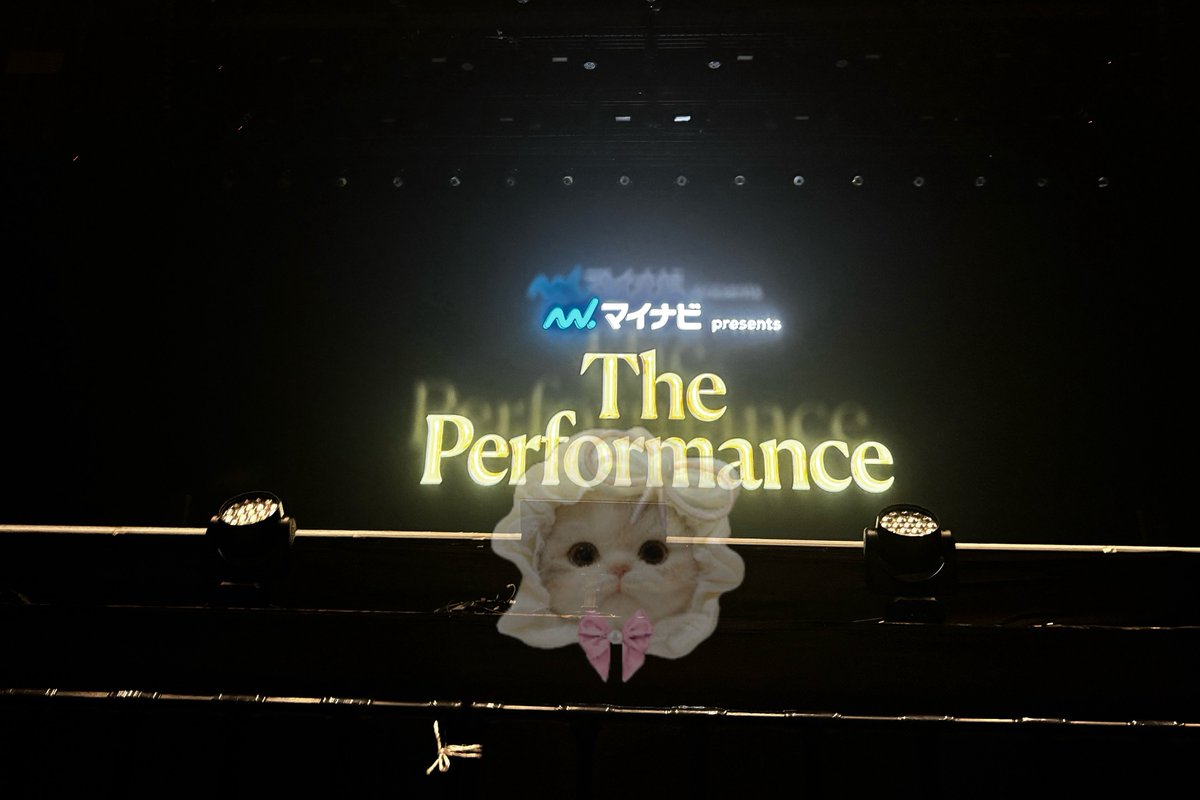 🎀🤍 tweet media