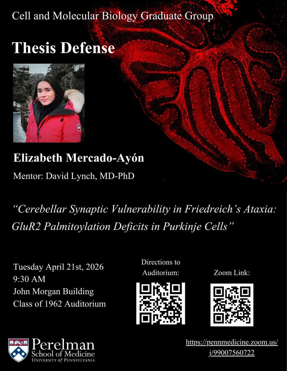 CAMBUpenn's tweet photo. Elizabeth Mercado-Ayon in the Lynch lab defends her thesis tomorrow! https://t.co/eZw6xiExJ9