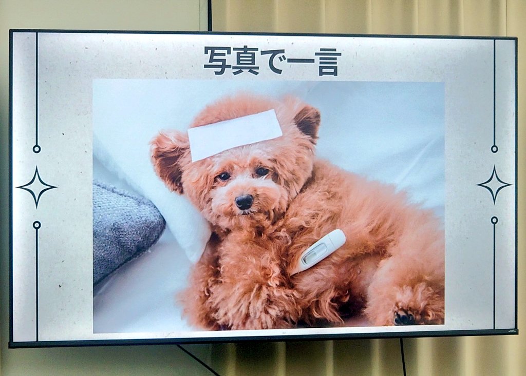 いしだ tweet media