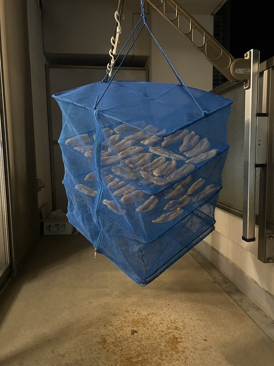 藤岡岳之＠柴犬・不動産賃貸（大家）・福島情報災害・能登情報災害・ガンギマリ族 tweet media