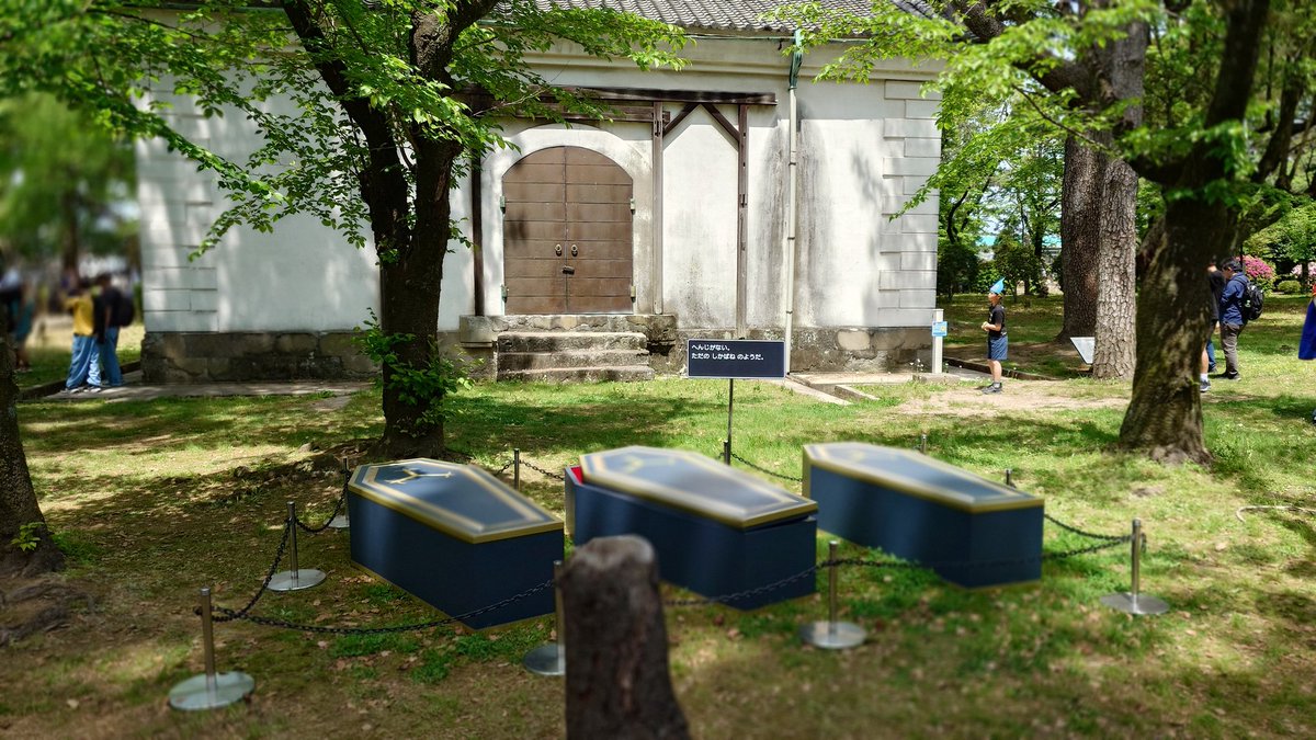 Ｙ(くるみん🐰)さん(自主トレ勢＋DQW) tweet media