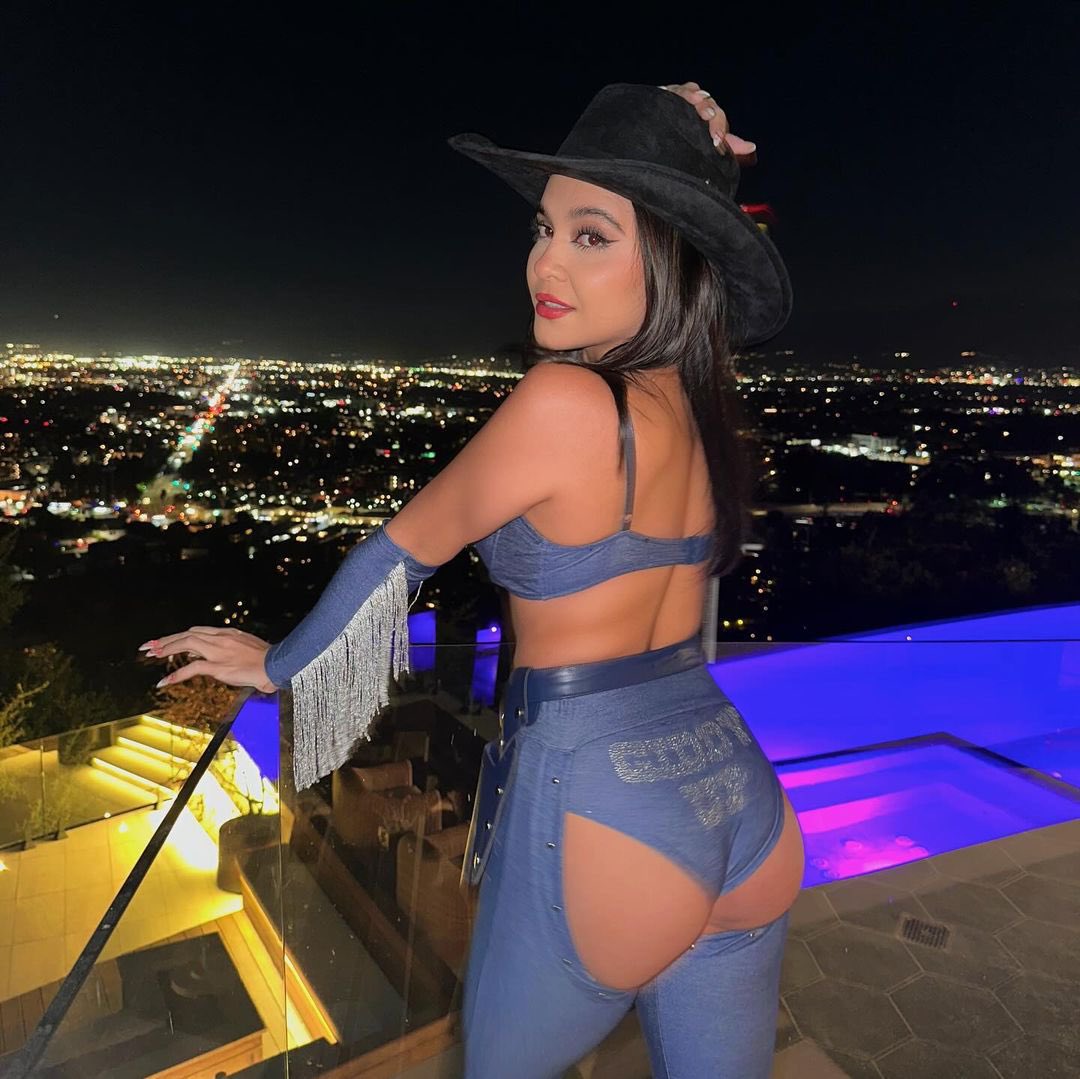 Stella Hudgens fake tweet media