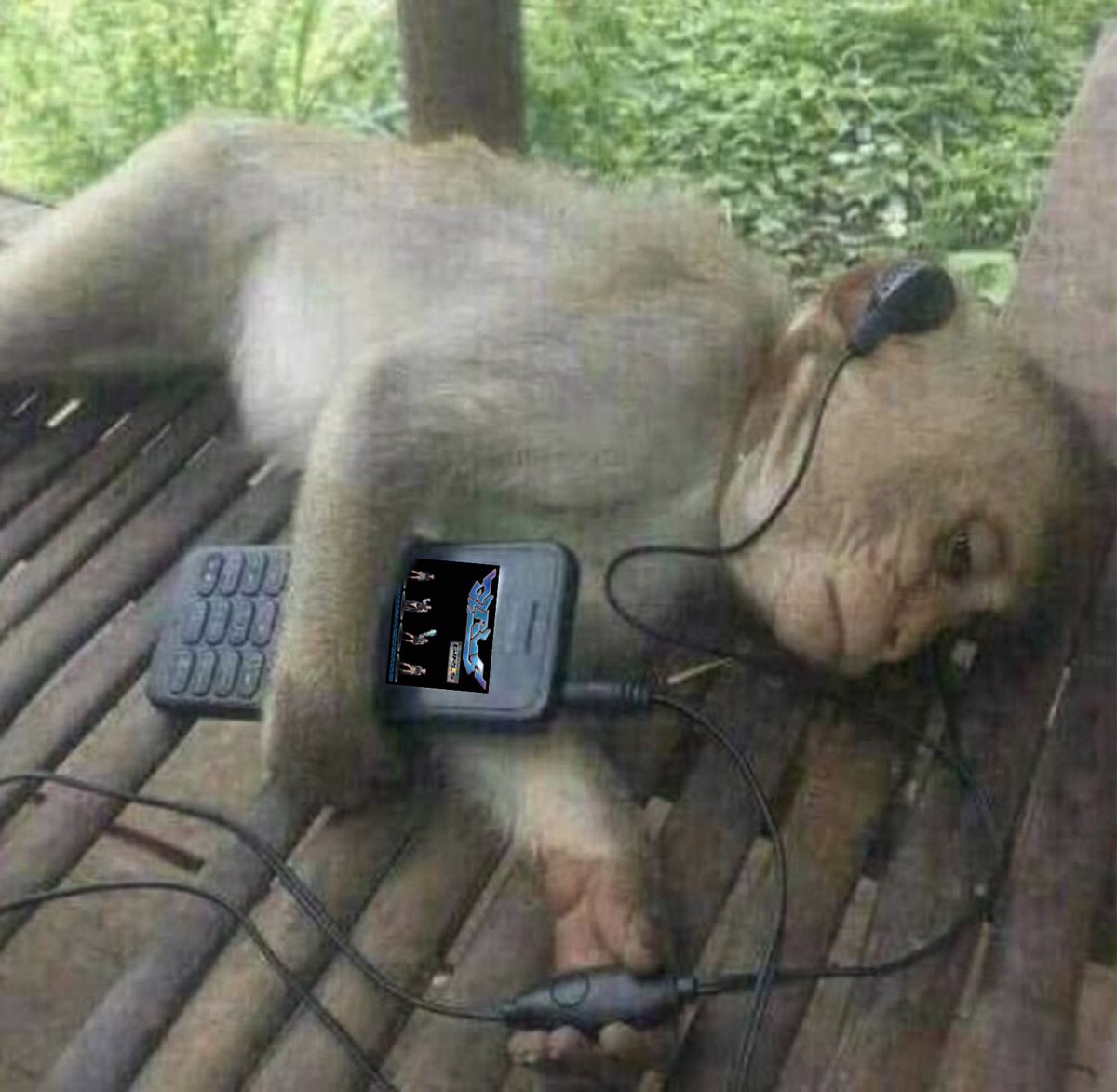 เขียว🍋🍋🍋🍋🍋🍋 tweet media