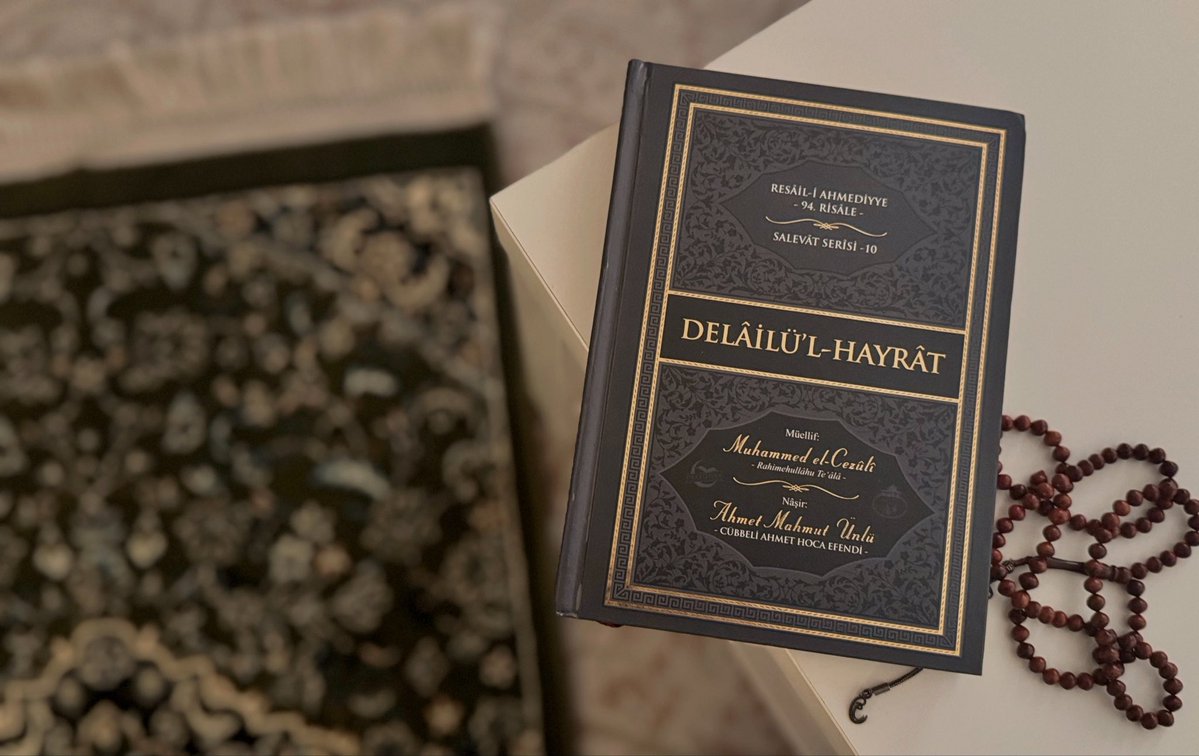 •nur 𐙚🦢 tweet media