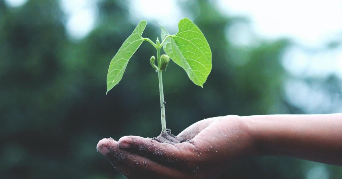 thedroptimes's tweet image. DrupalCon Europe @DrupalConEur  reports 2025 emissions drop.

512.8 tCO₂e vs 1,574.57 in 2024.

Travel still ~95% of footprint. bit.ly/488b4nQ  

#Drupal #Sustainability #Events