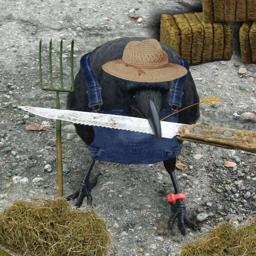 these days w'get all kinds folks round these parts

some fellas never seem understand

they don't know

folks been stackin caw round here f'generations

will keep on stackin f'generations

way of life round these parts

always

ain't never gonn stop cawin

caw'n

crow with knife