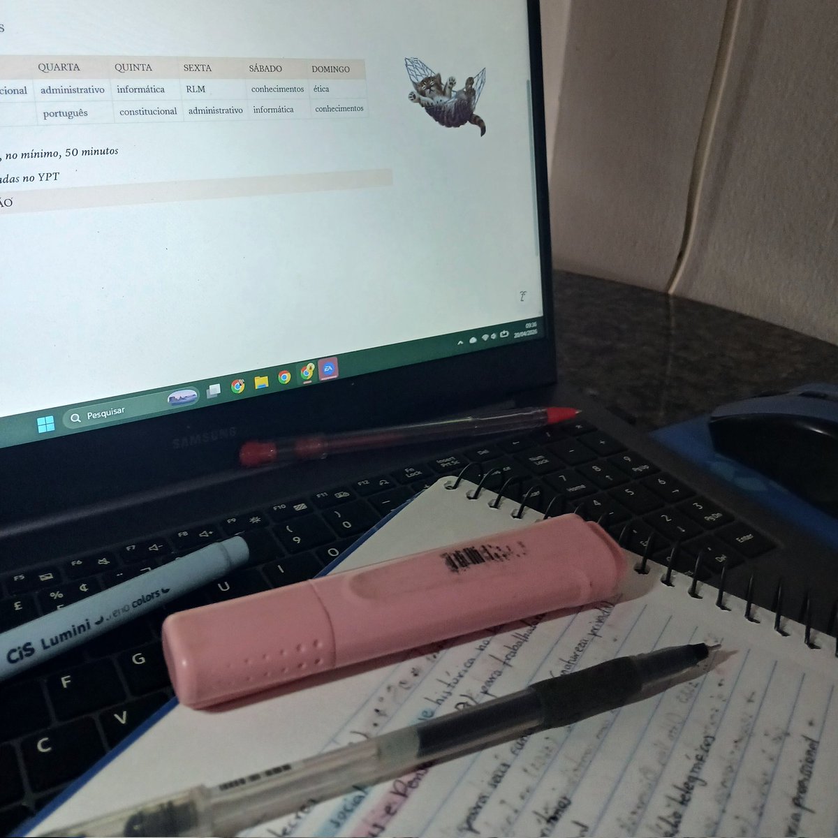 joy 🐑 tweet media