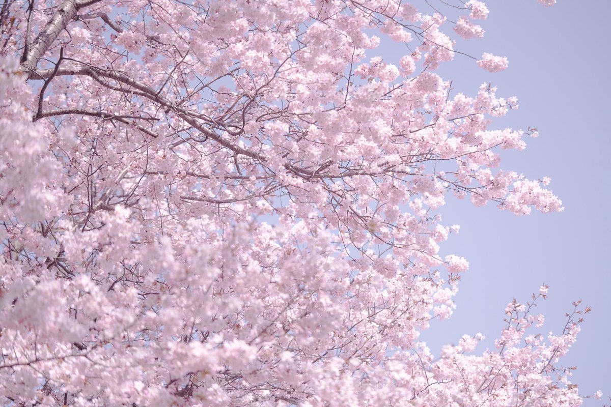 masayoshi masago | 真砂雅喜 tweet media