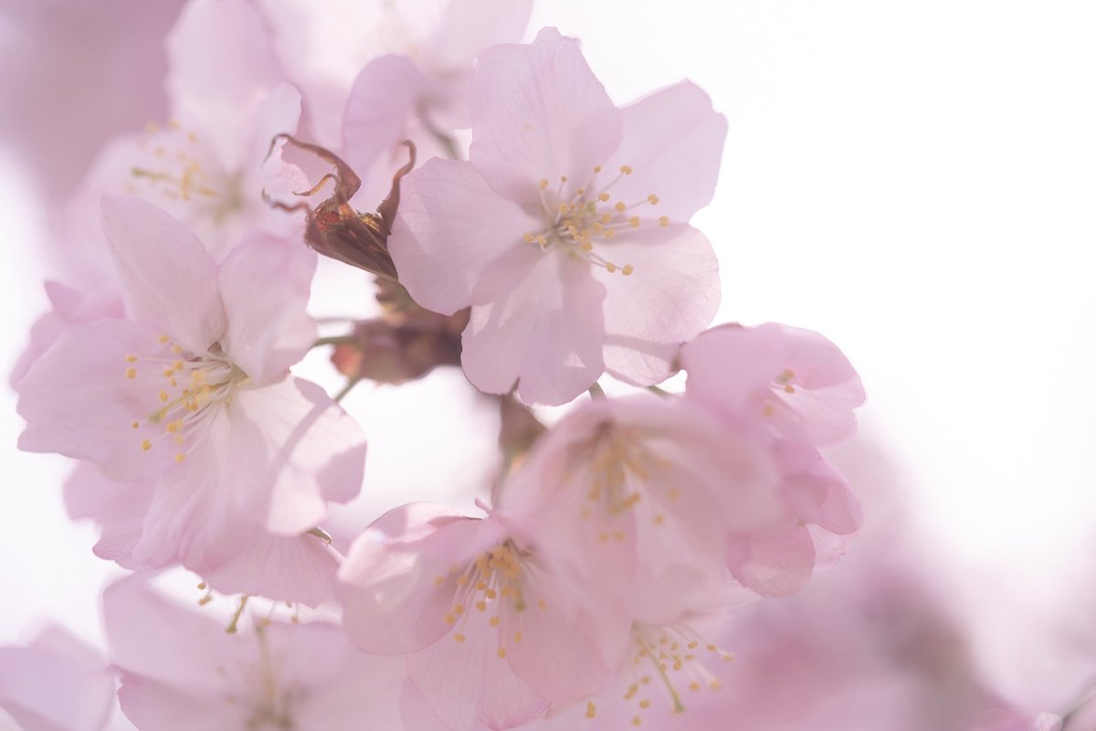 masayoshi masago | 真砂雅喜 tweet media