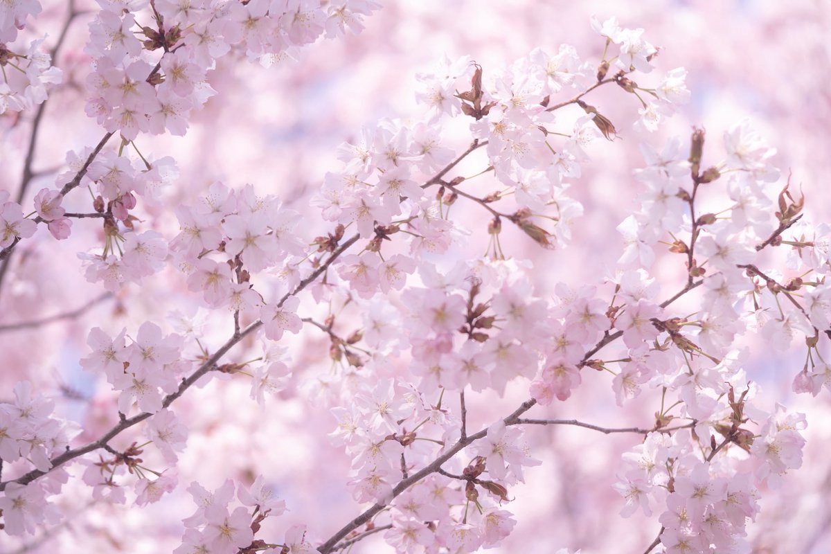 masayoshi masago | 真砂雅喜 tweet media