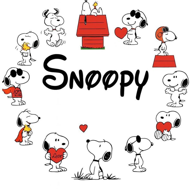 Snoopy 🐶 tweet media