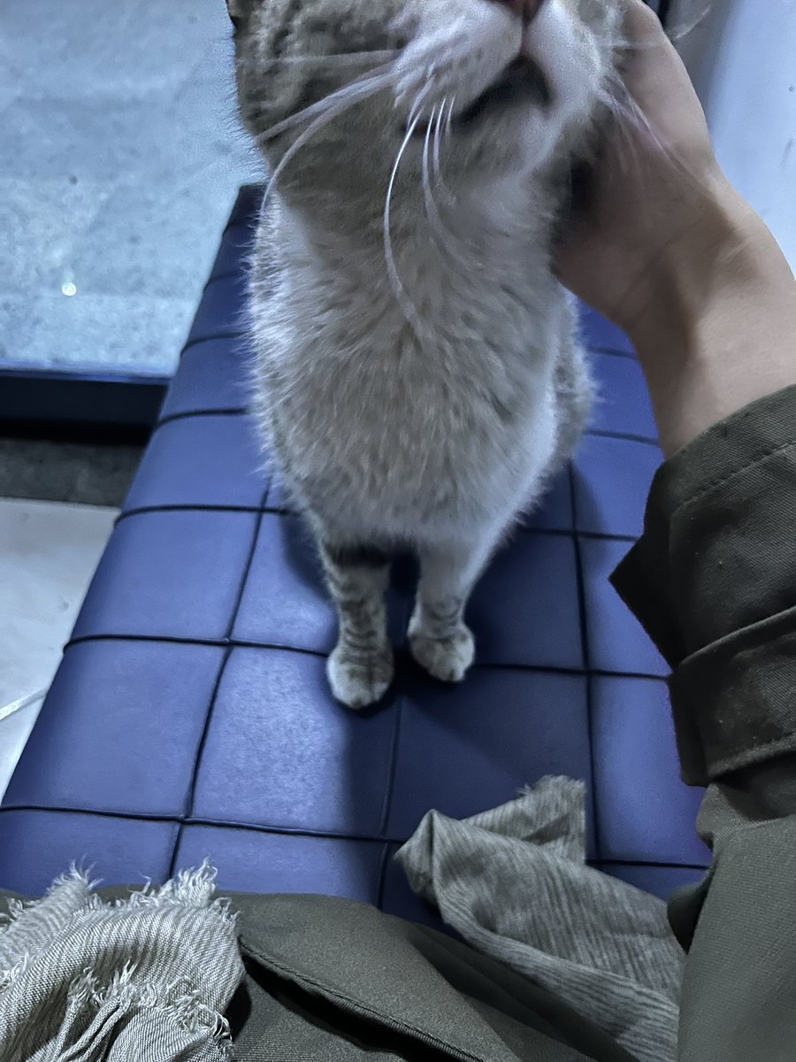 آلاء tweet media