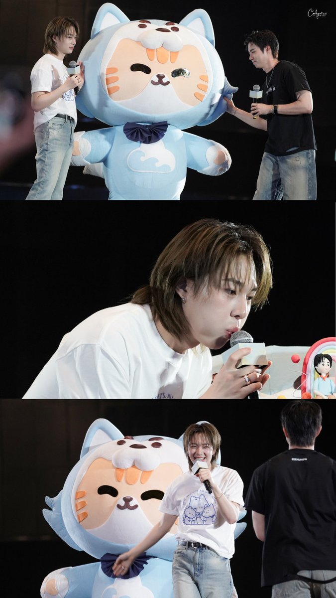 Look-ka-te ִֶָ 𓂃⊹ ִֶָ 🐾🐈 tweet media