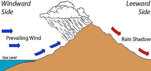 acrossallmedium's tweet image. Working on my Projects...