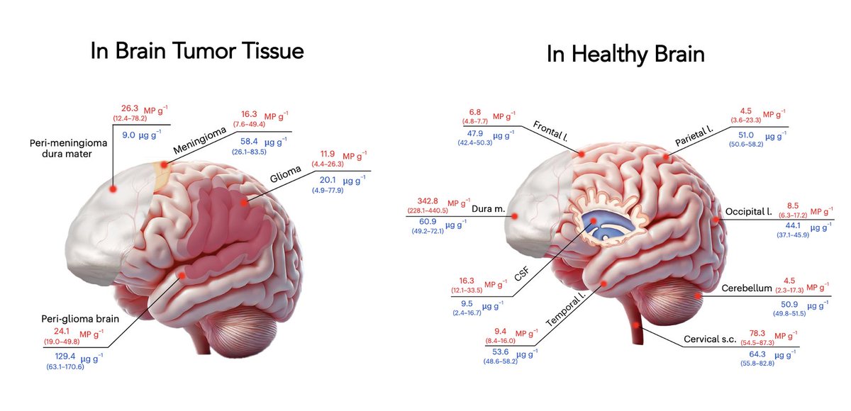 Eric Topol tweet media