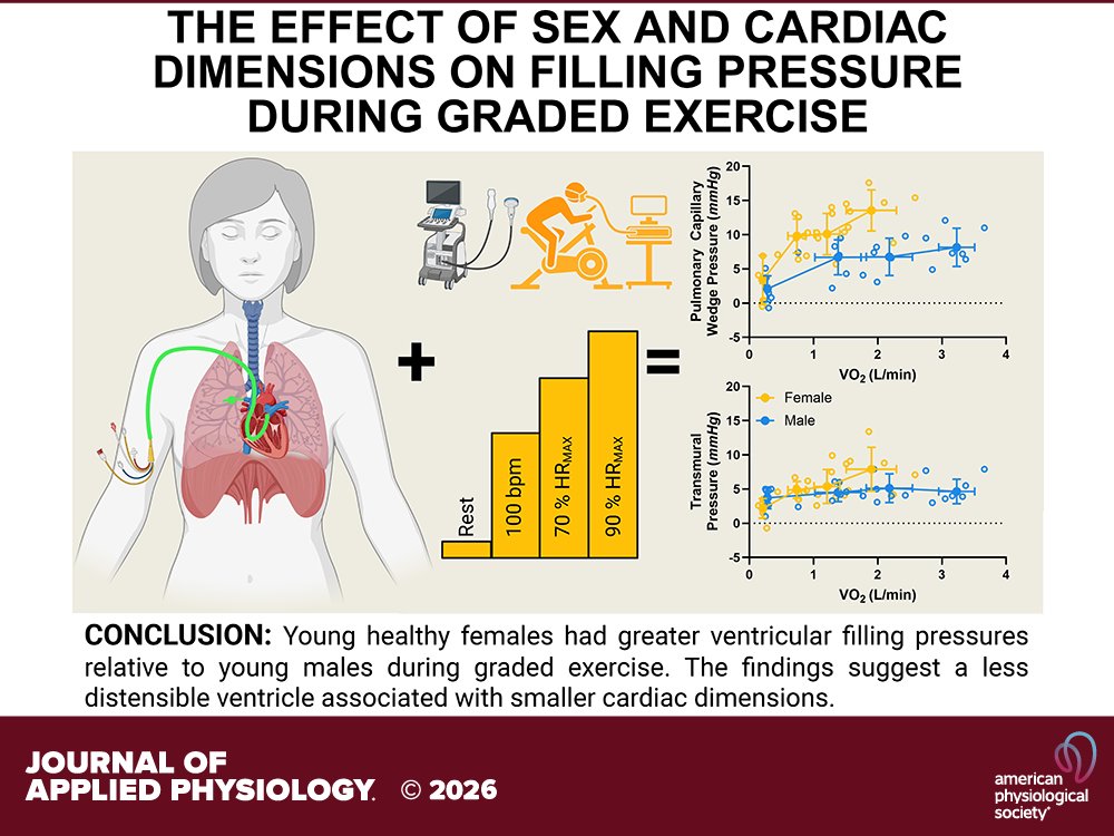 APSPublications's tweet image. Researchers found young healthy females have greater filling pressures during dynamic #exercise relative to males. Augmented filling pressure in females points to less distensible ventricle associated with smaller #cardiac dimensions ow.ly/zzoE50YK9P8

@japplphysiol