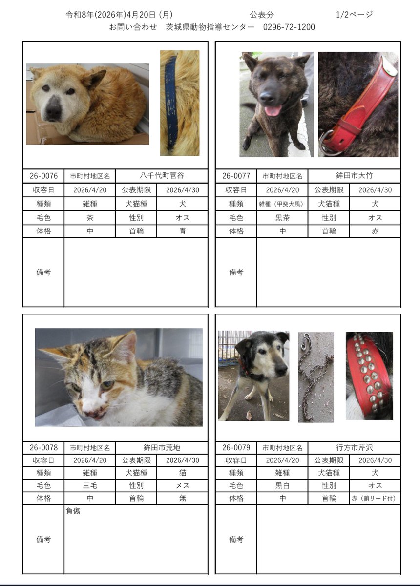 小美玉市　環境課 tweet media