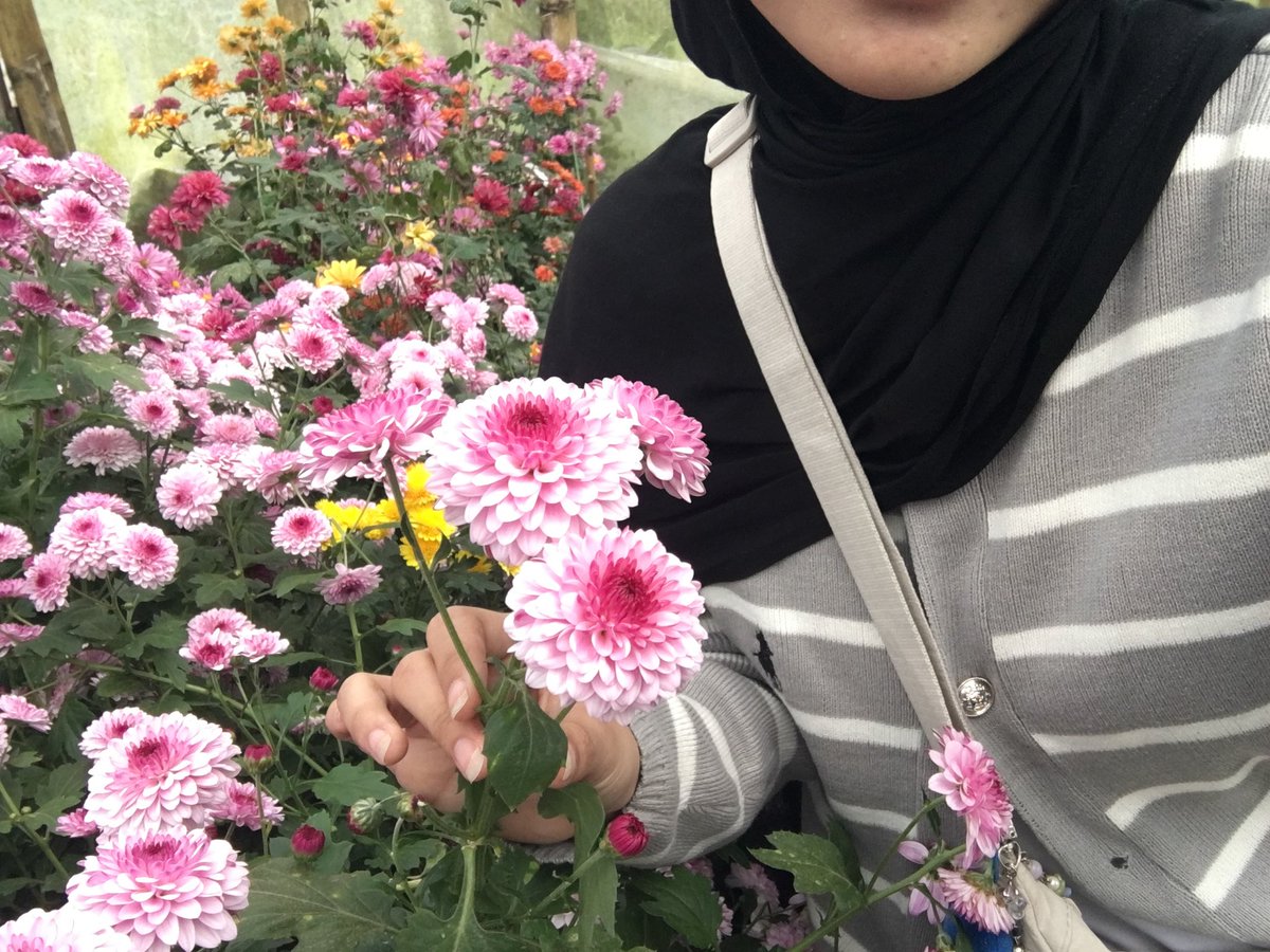 withlovefeer's tweet photo. heavennn (?) 🥹🌺🌷🌼🌻🪻🏵️🪴🌸 https://t.co/BeQMopTqdD