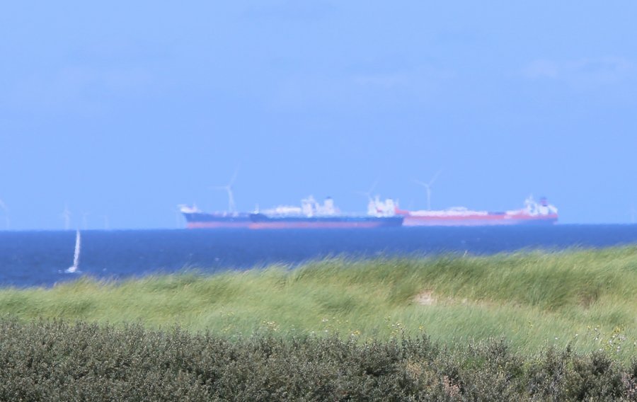 Westlanders.nu tweet media