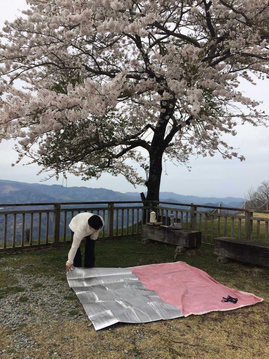 __02shiro's tweet photo. 最近何してるかと聞かれると、
お花見でレジャーシート引いてたりする https://t.co/VmvVC6aKbS