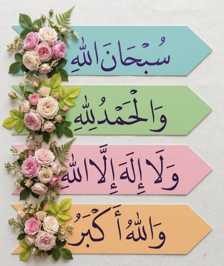 hany Ali tweet media