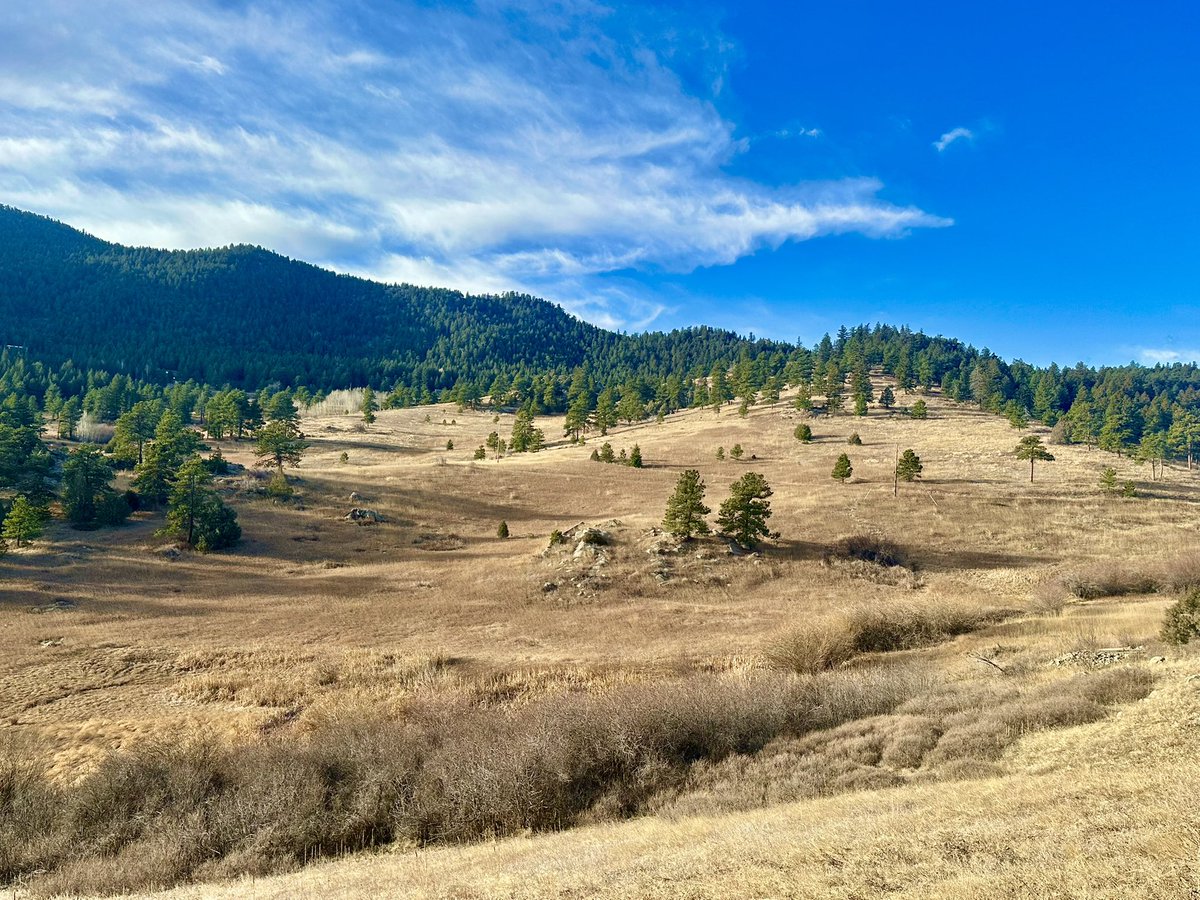 HikingLawyer's tweet image. Missing Colorado this morning.  Sometimes it’s hard to believe this is a 15 minute drive from Boulder.

#colorado #hiking #outdoors #hikingadventures