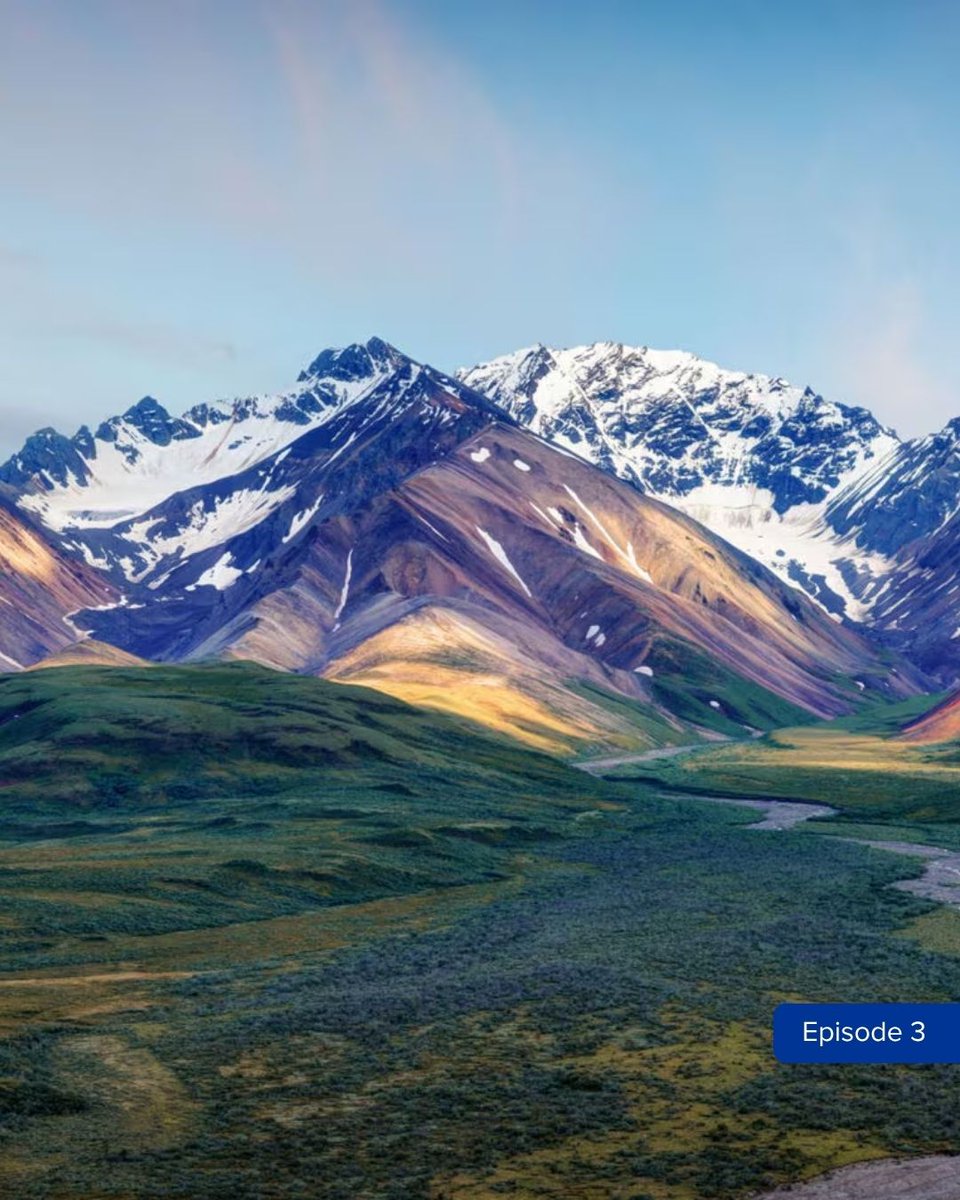 PrincessCruises's tweet photo. Planning Alaska?  Don’t just scroll, listen too. 🎧 https://t.co/UGQLOHyhc3
 
Step into glaciers, wildlife, and unforgettable moments before you ever set sail. https://t.co/Yo7XNi5YAL