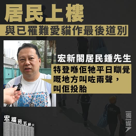 《獨立媒體》
#宏福苑五級火 居民上樓與已罹難愛貓作最後道別：叫佢投胎
bit.ly/48d5ws3
//宏新閣...低層單位的鍾先生今早上樓執拾物品，並與在火災中不幸罹難的愛貓告別，他特地在牠平日睡覺的地方作最後道別：「叫咗兩聲，叫佢投胎。」...//