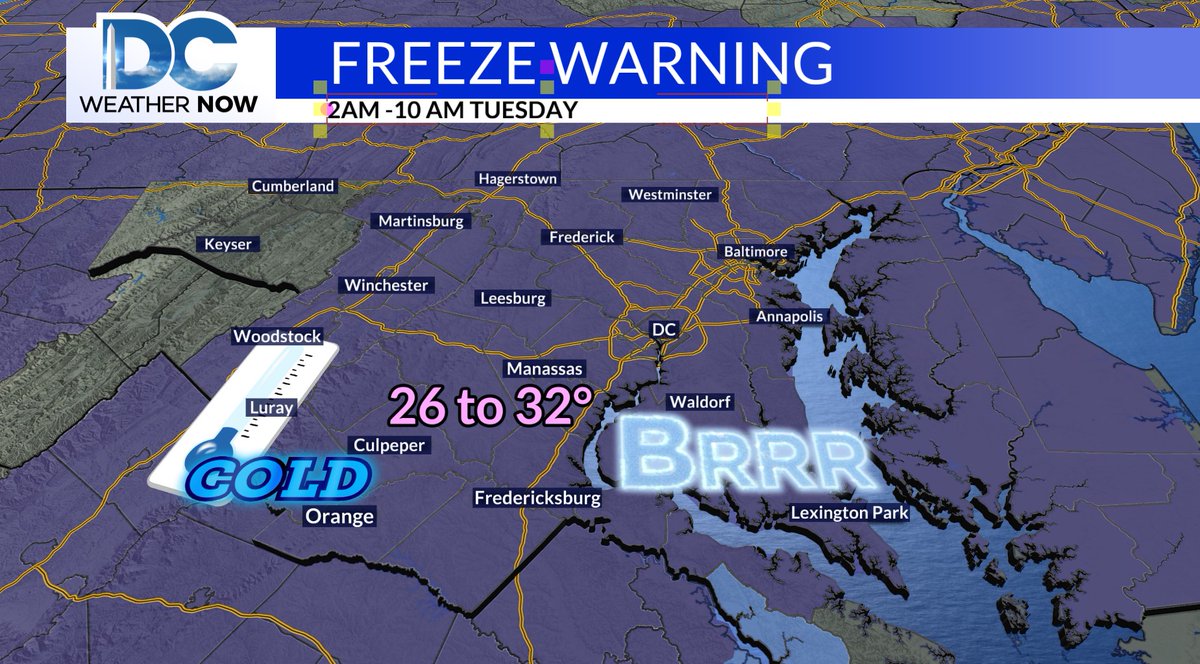 Scott Sumner tweet media