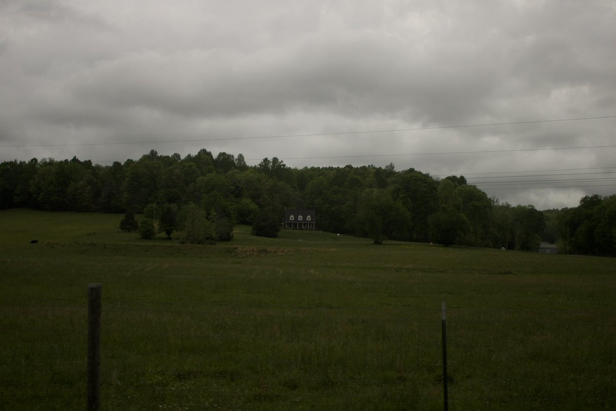 dreamland tweet media