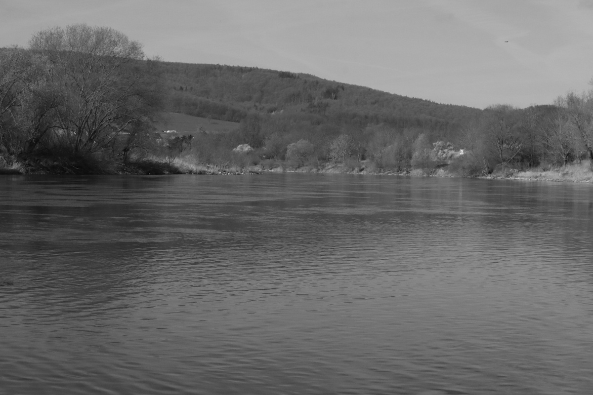 Christian Kaiser tweet media