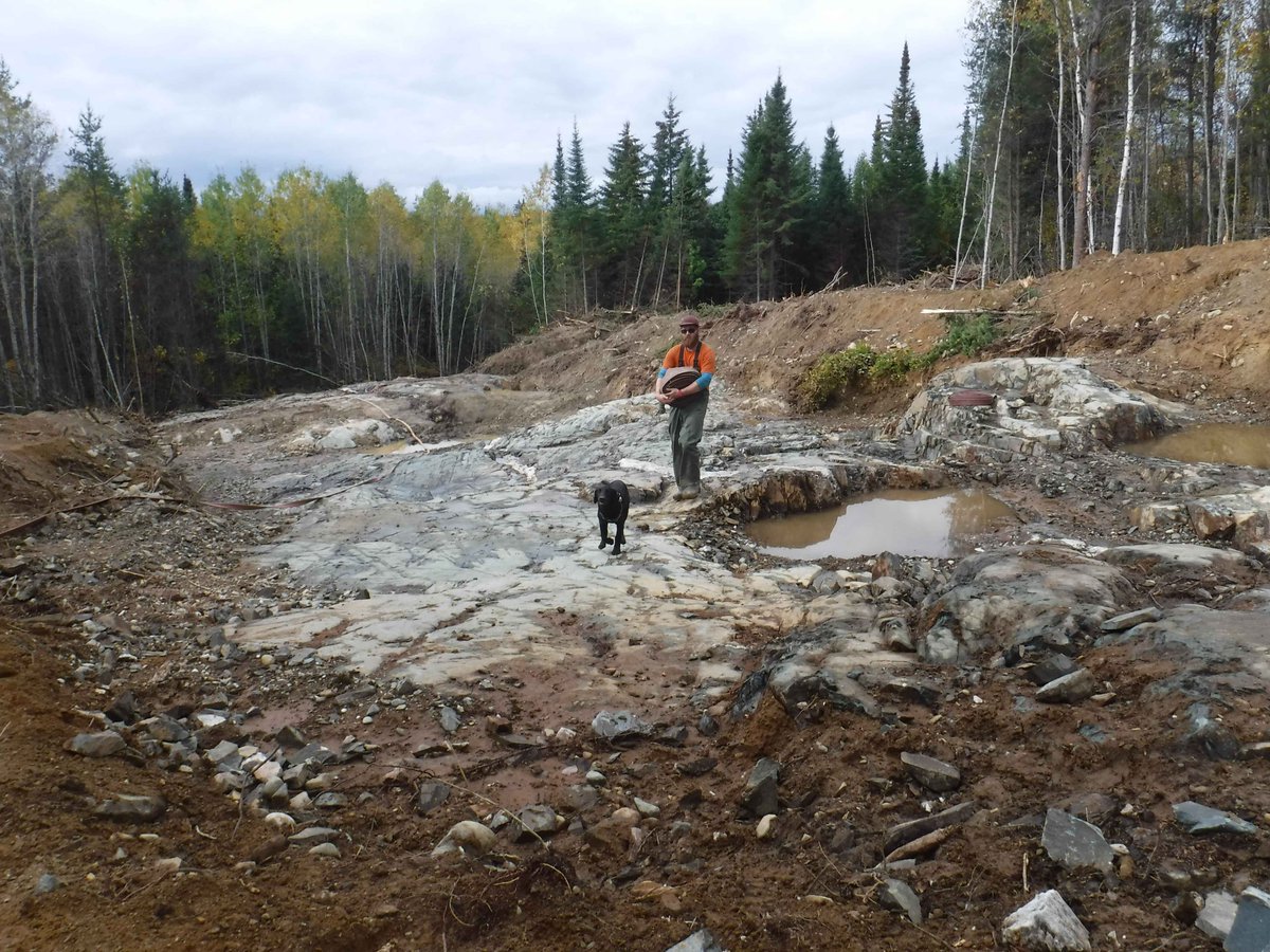 TransMetalsCorp's tweet photo. ⭐PROJECT SPOTLIGHT: $XTM.V's Cryderman project is a greenfield, structurally-controlled orogenic #gold opportunity in the emerging Shining Tree camp, located only 55km east of IAMGOLD’s Côté Gold Project. For more 👉 https://t.co/jhhLTcUOro 
#miningnews #investment #juniormining https://t.co/zxaEcM30Mg