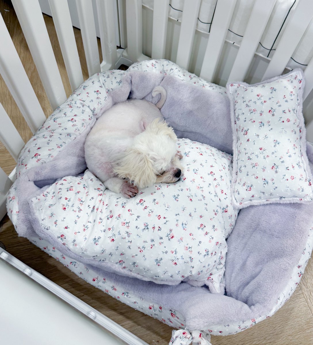 DNVP 💋 (Malonfamily) tweet media