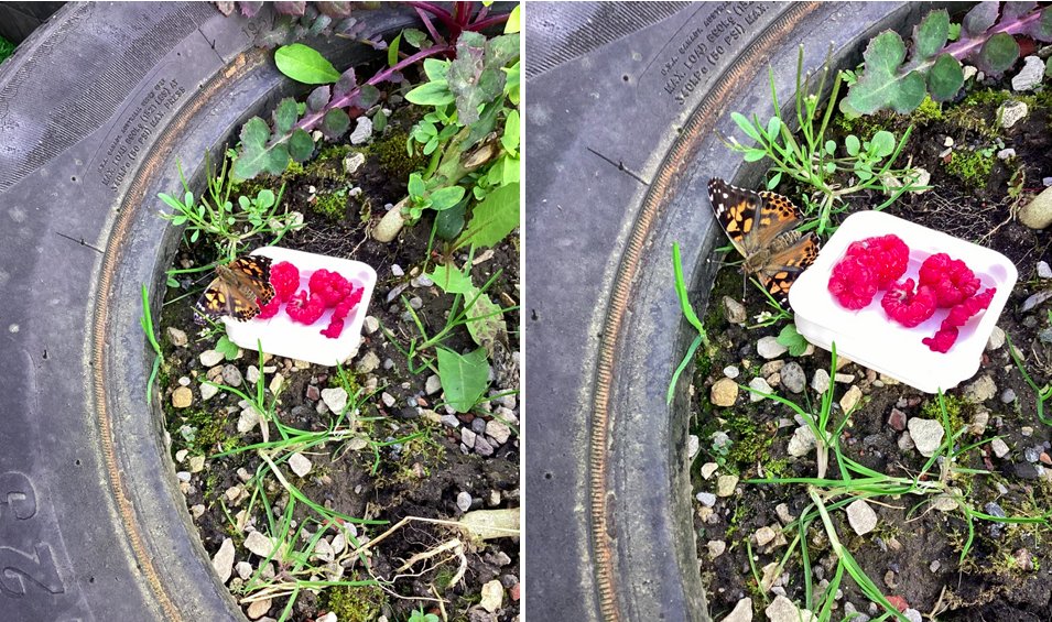 Oasis Academy Clarksfield tweet media