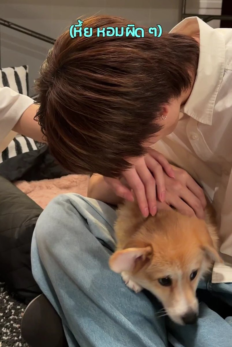 Mima || dwy era tweet media