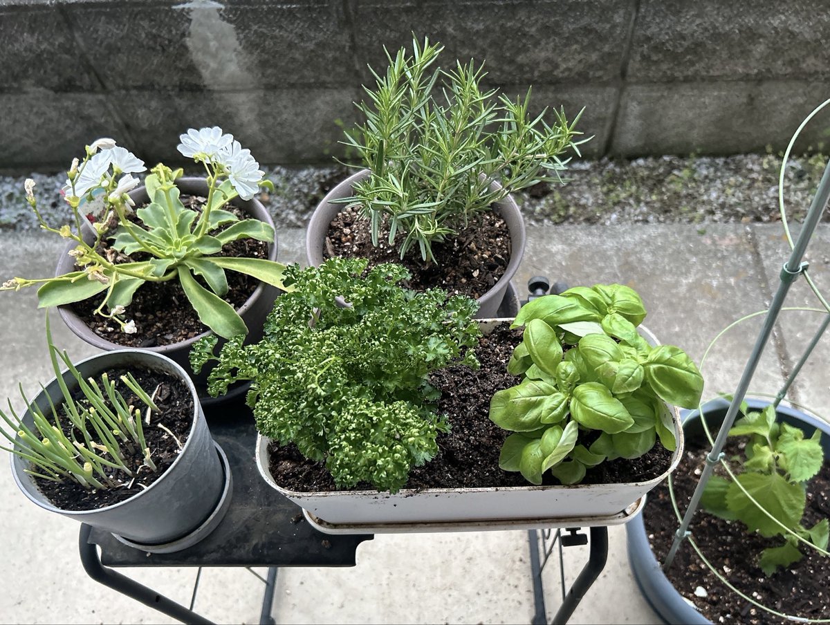 うず (@482_air) on Twitter photo 