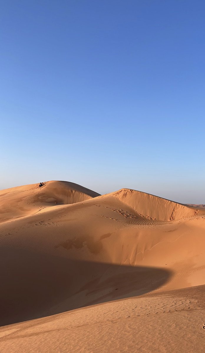 Hadjer ⵣ tweet media